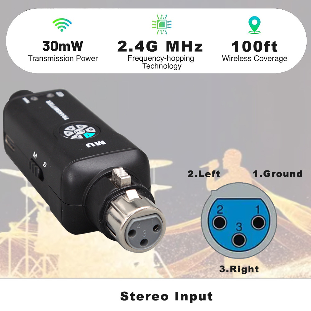 2.4G Wireless In Ear Monitor S - огляд і ціна In Ear Monitors For Singers